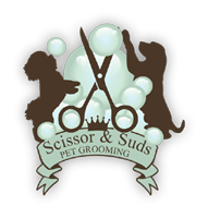Scissor & Suds